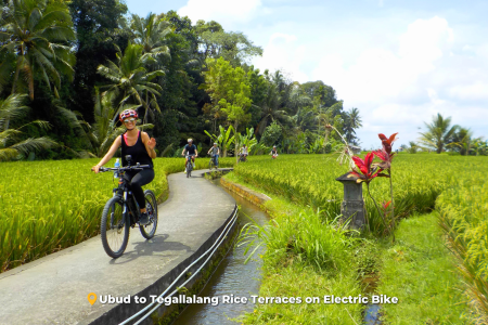 Ubud E-Bike Tour to Tegallalang Rice Terraces