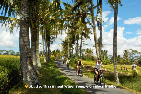 Ubud E-Bike Tour to Tirta Empul Water Temple
